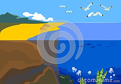 Split level seascape landscape with sand, flying seagulls and jellyfish in blue water Vector Illustration